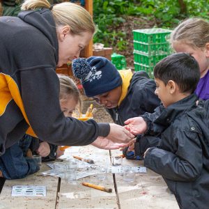 a class working outside